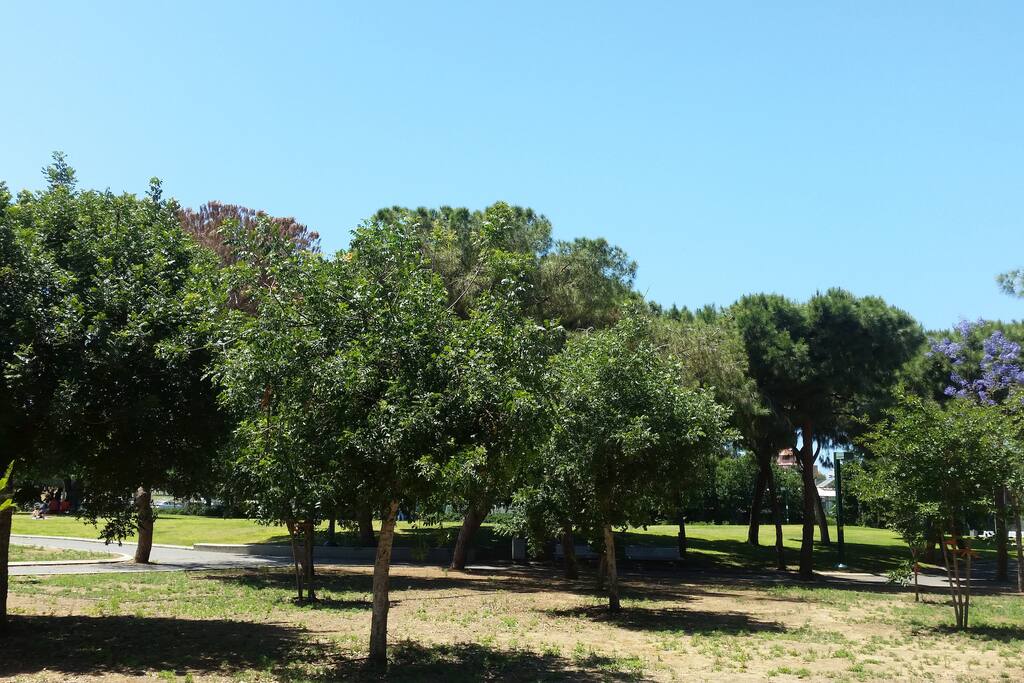park next door