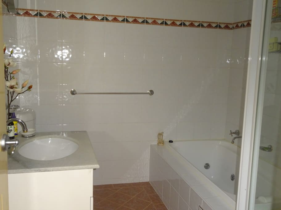 Guest bathroom includes spa, shower and toilet