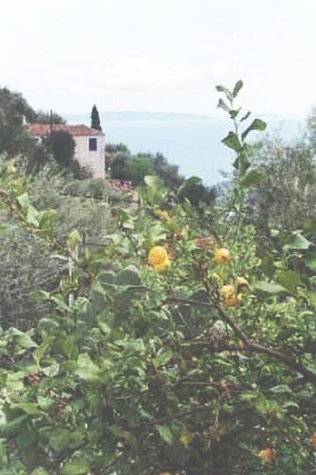 Arcadia am Hang