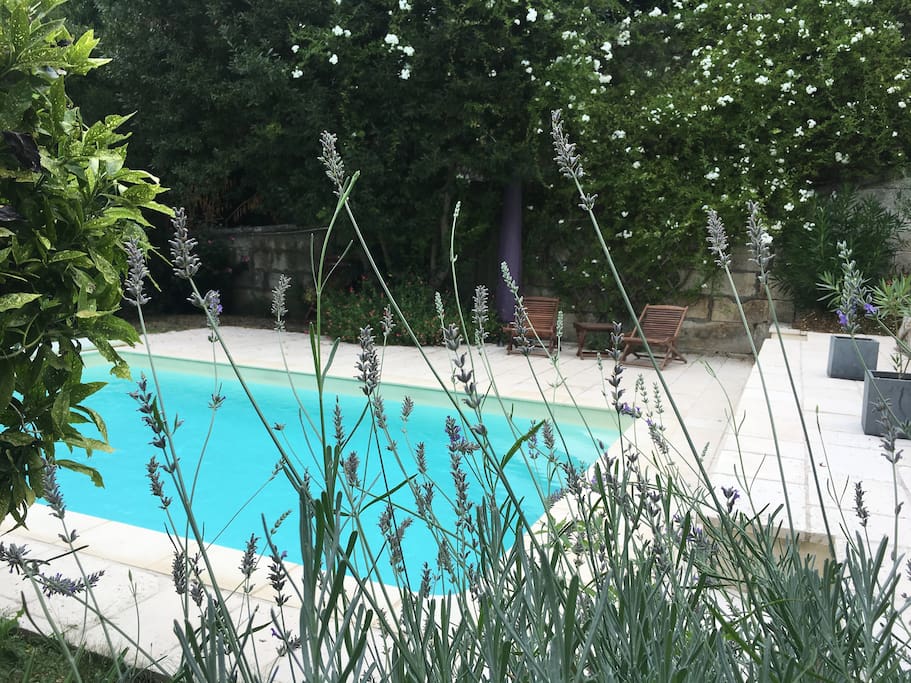 Piscine accessible selon saison