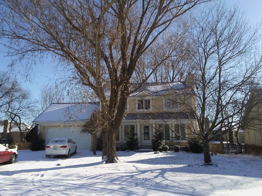 Front of house winter