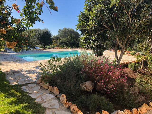 Villa Cardoncello gallery image 5