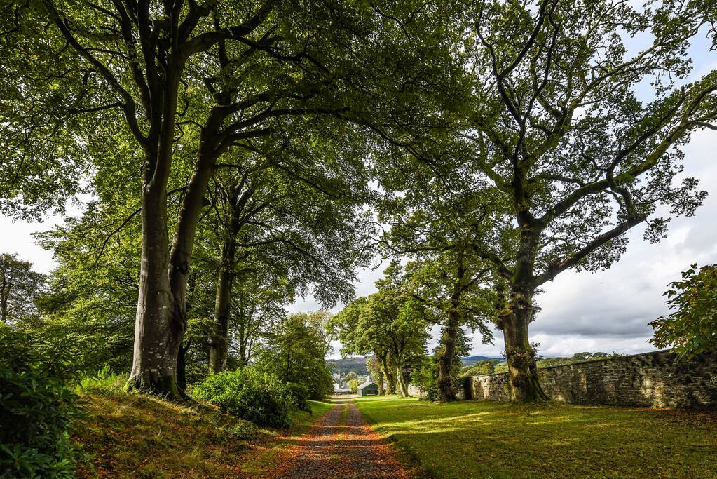 Avenue