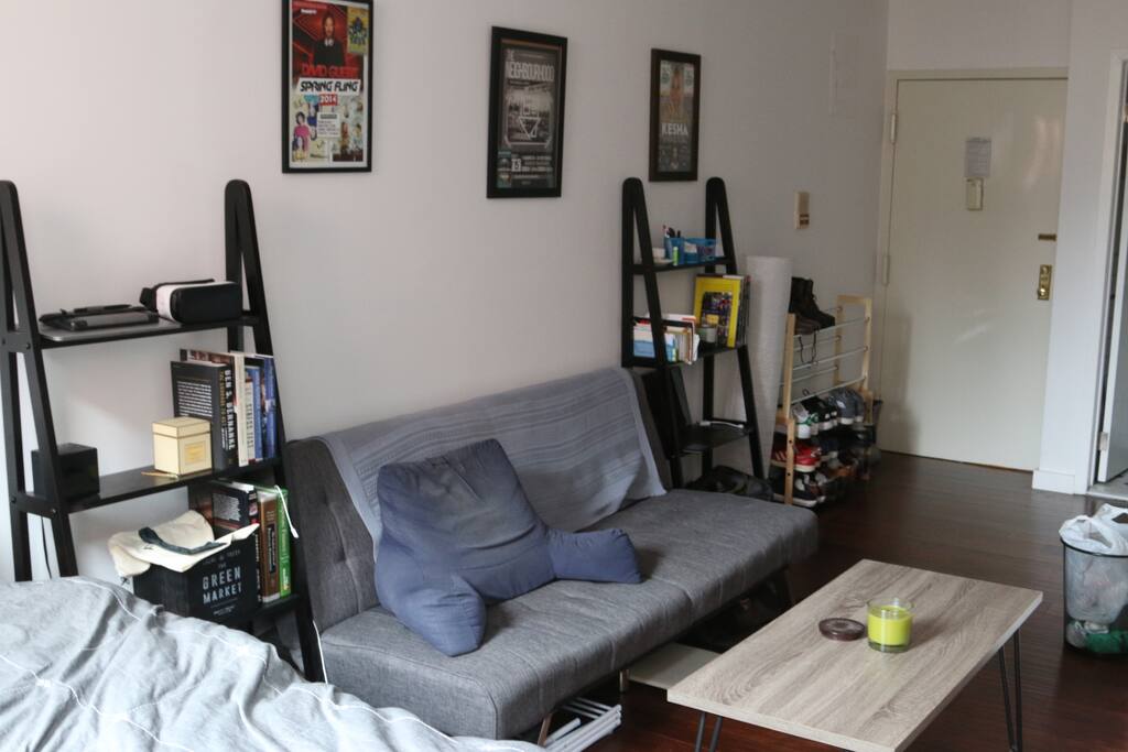 All wood book shelve cases provide storage for guest, modern decor, and a couch the pulls out to be a twin bed.