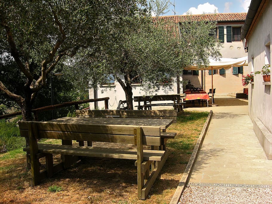 Panchine nel giardino