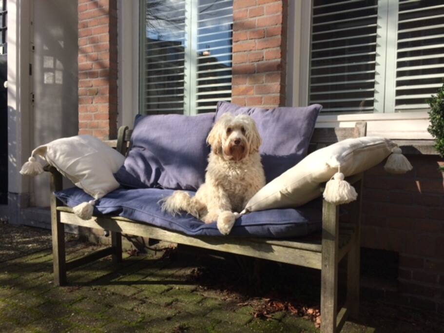Het bankje voor het huis om 's ochtends het eerste kopje koffie in de zon te drinken.