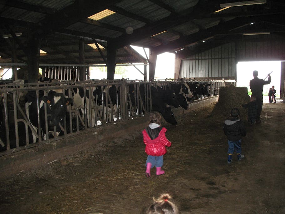 Visite de la ferme sur demande.
