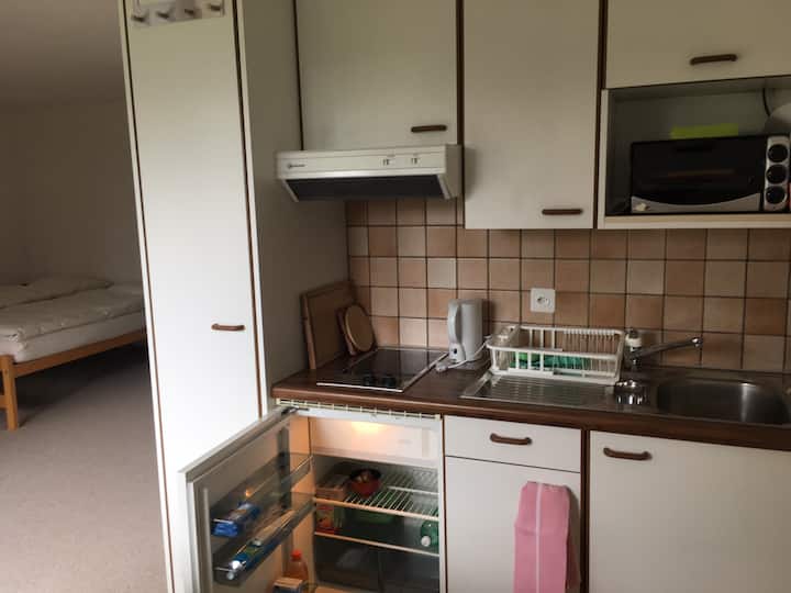Studio à La Riviera Vevey Montreux - Montreux
