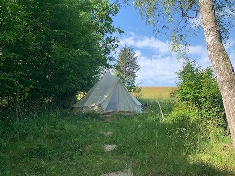 Natural Zelter Experience