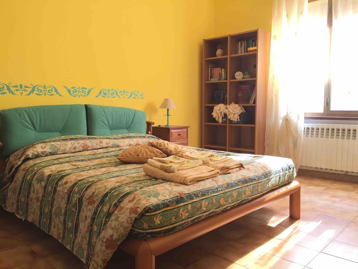 A spacious bedroom features a large bed adorned with patterned bedding and multiple neatly arranged towels. A bookshelf stands nearby, filled with books and decorative items. Natural light floods the room through a window, highlighting the warm yellow walls.