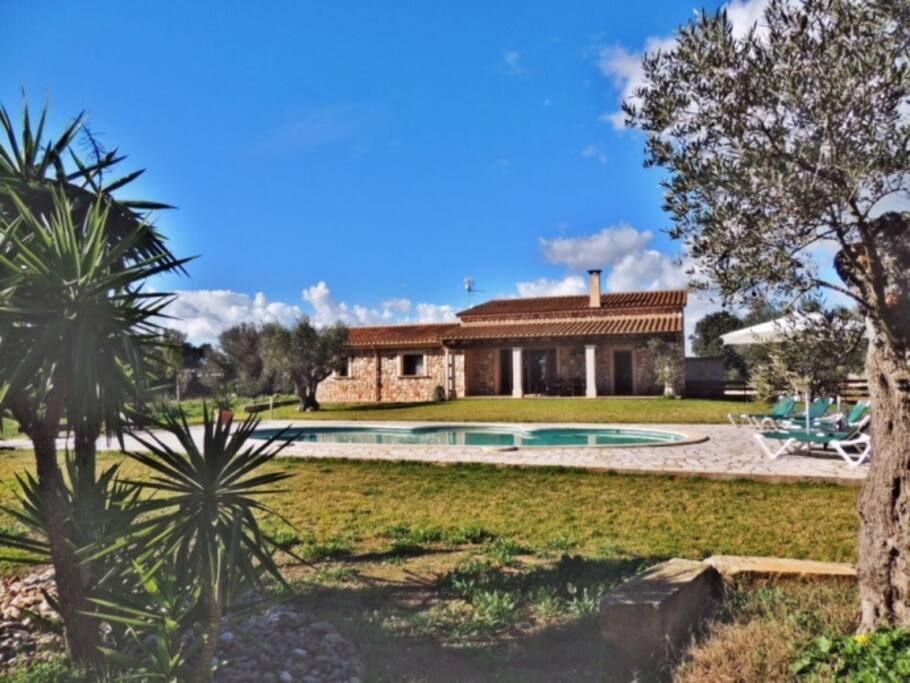 Villa Aileen - Pool and garden