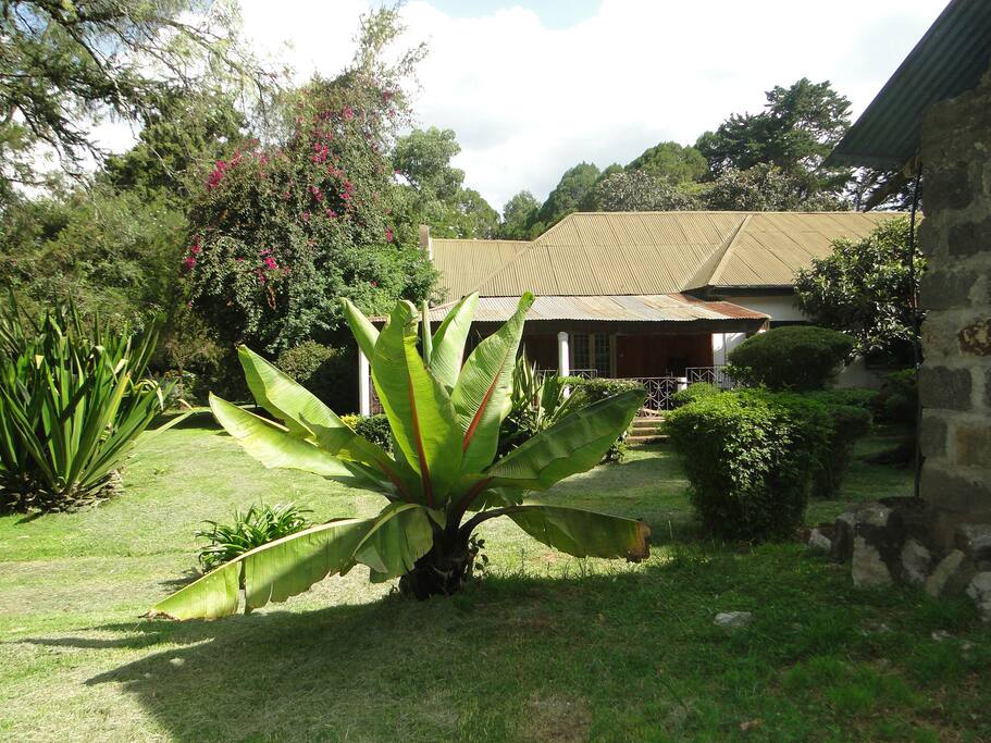 The Farmhouse