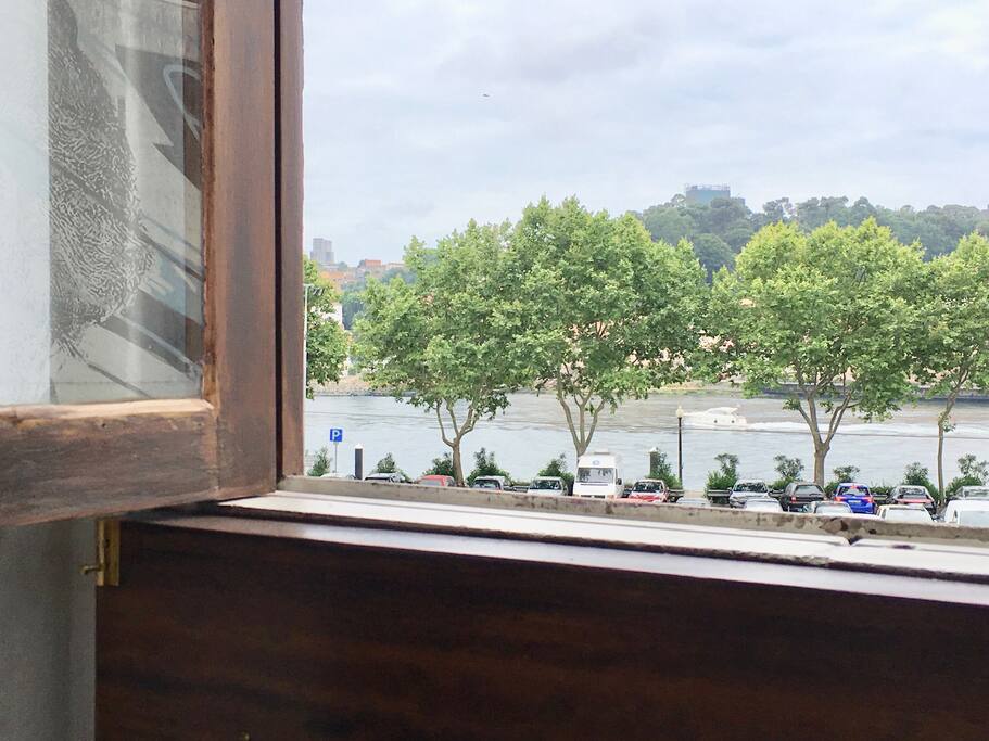 window view