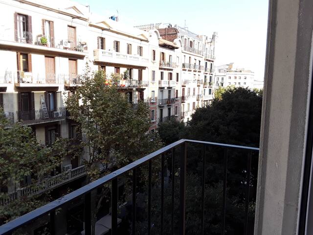 Autentic Monumental 52