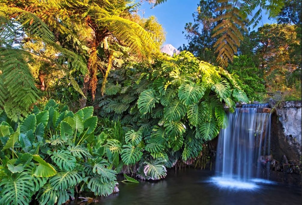 Waterfall in gardens