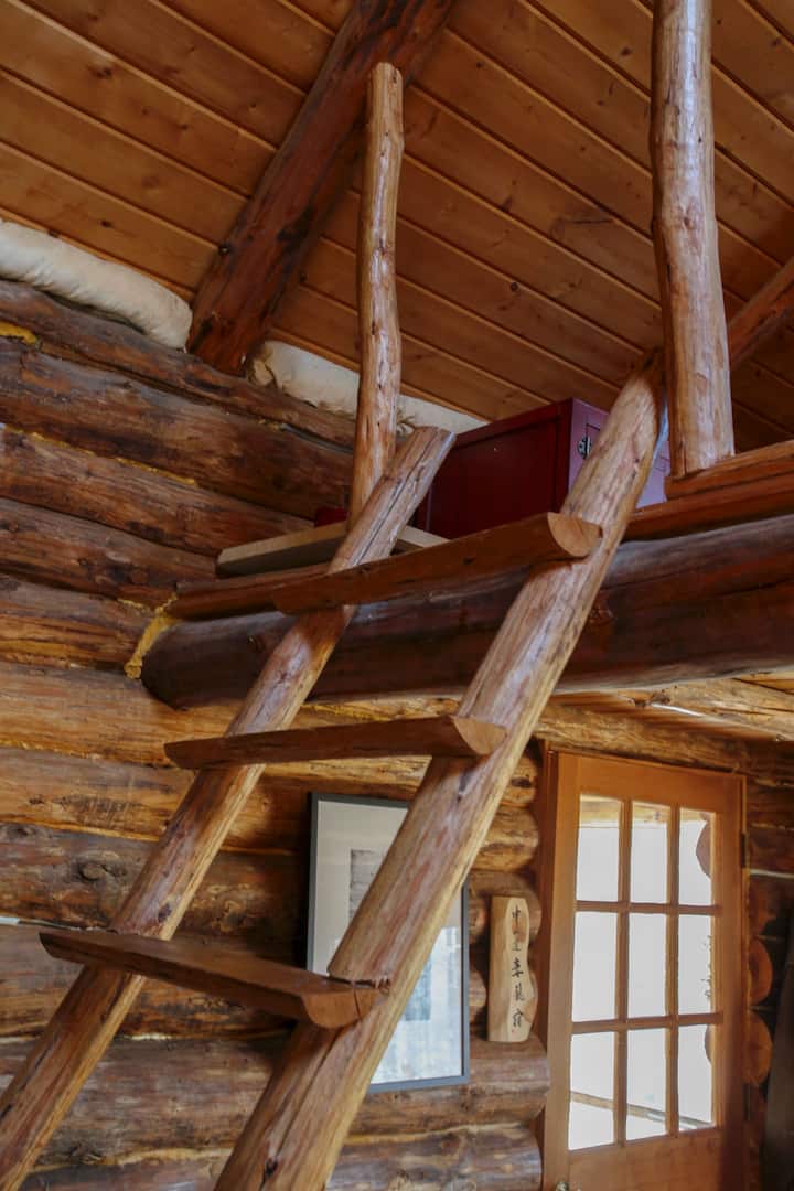 Ladder to loft bedroom and balcony