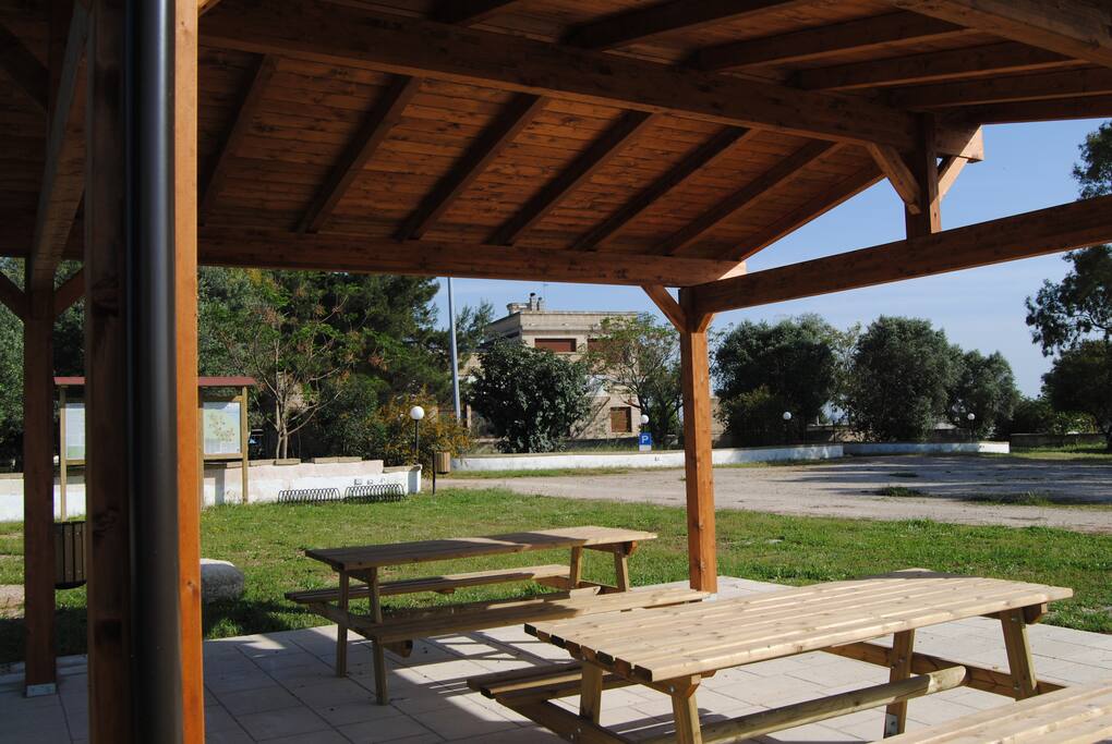 Area pic-nic