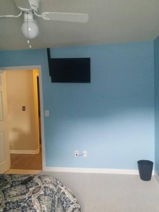 Smart TV with Netflix