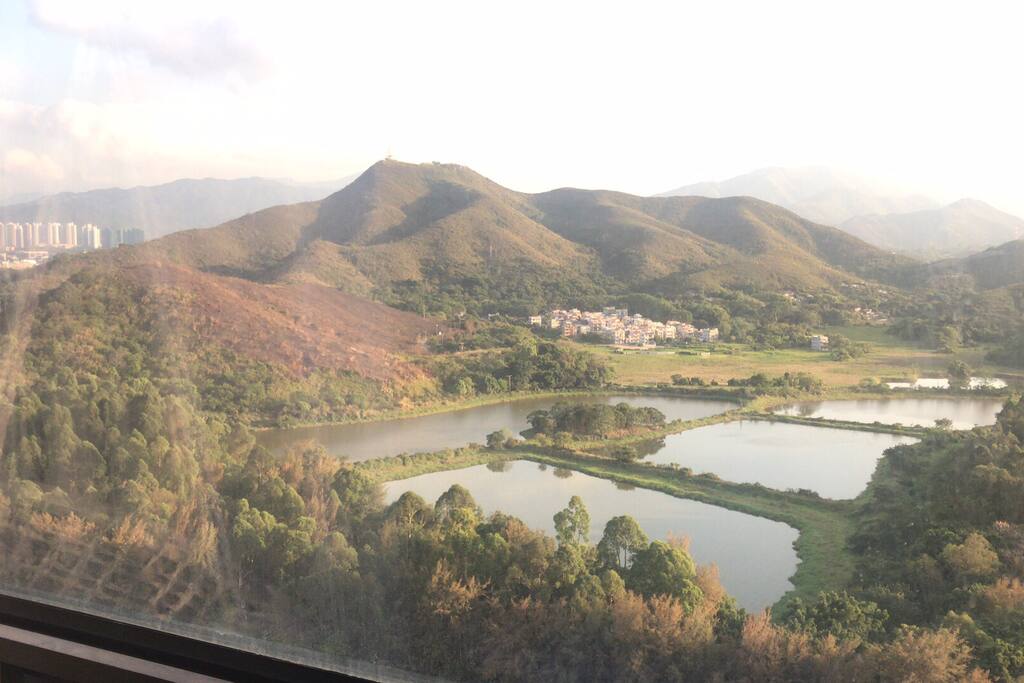 窗外风景