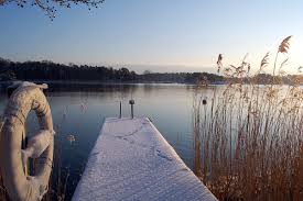 A snow-covered dock extends into a tranquil lake, with reeds gently swaying on the shore. The calm water reflects the soft light of an early morning sky, enhancing the serene atmosphere of the winter landscape.
