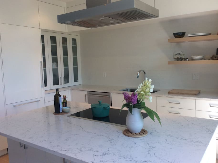 Kitchen island w Bosch Induction Cook top