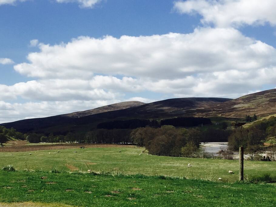 View from B&B