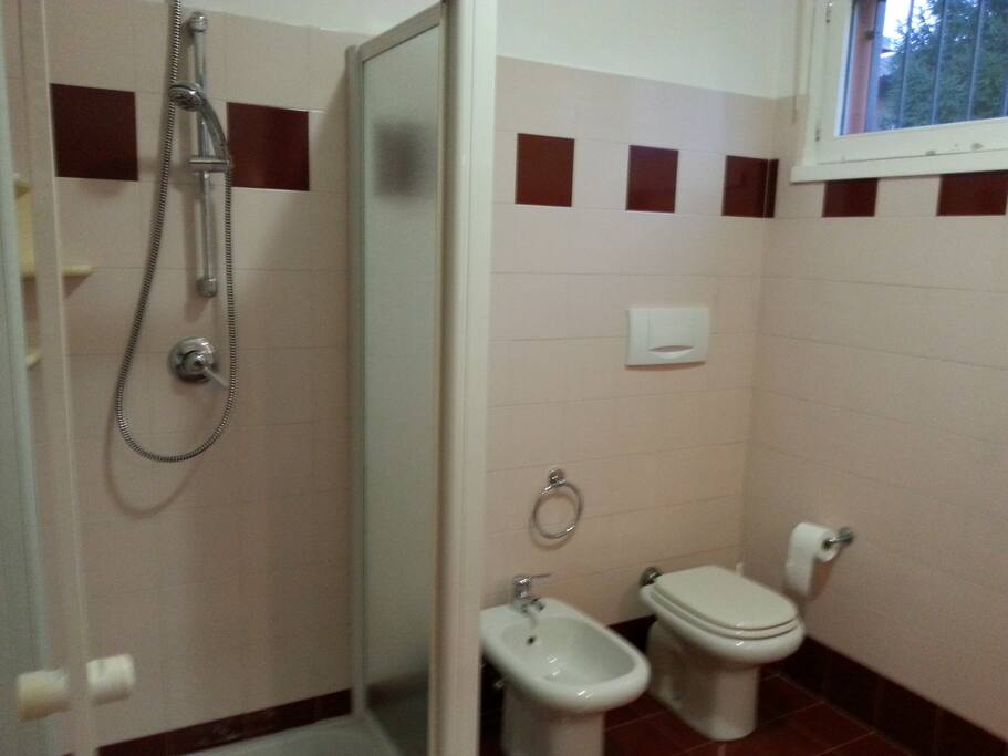 The shower and toilet