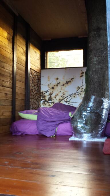 L'arbre passe au milieu de la cabane, le lit 2 places