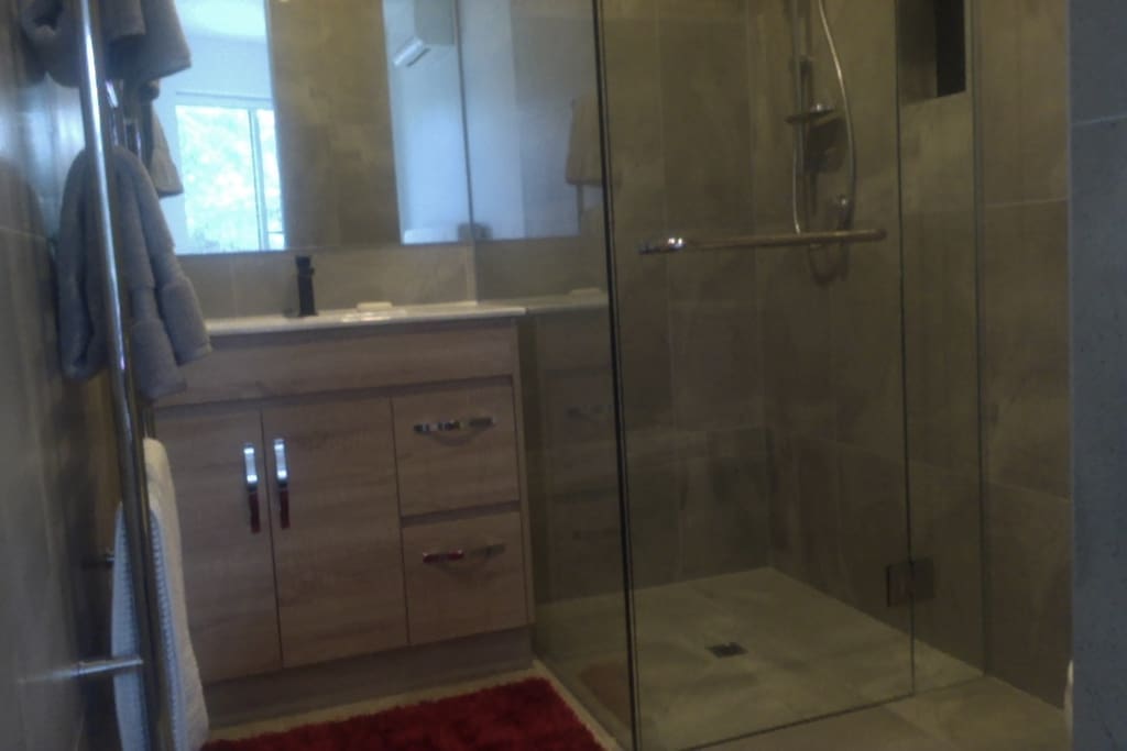 Ensuite with shower, toilet plus vanity and mirror.