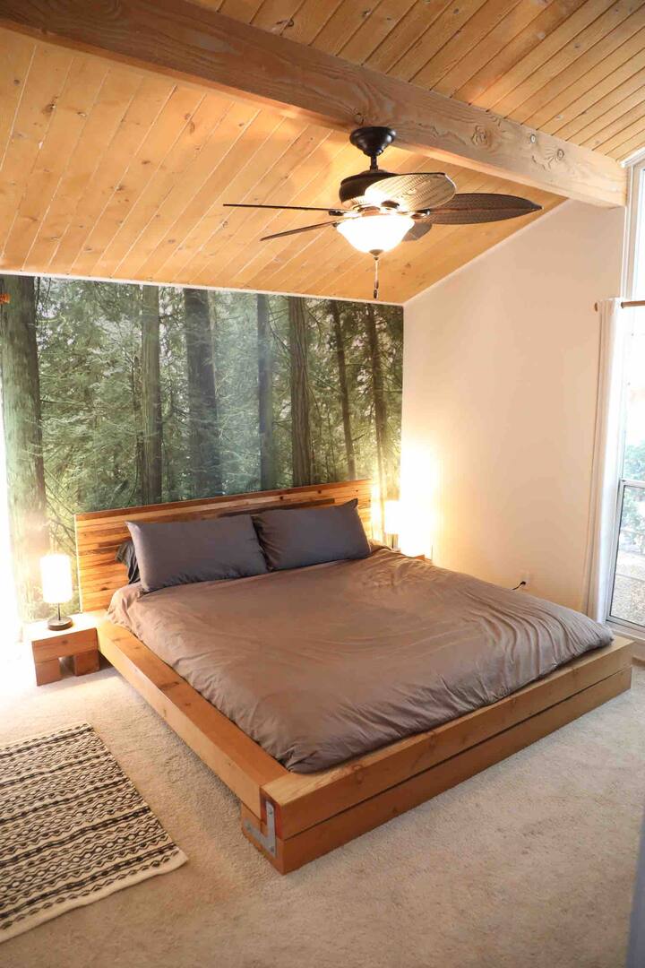 We brought the old growth forest inside