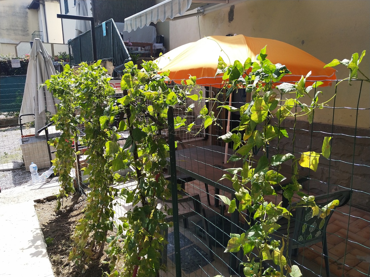 A shaded outdoor area is visible, featuring an orange umbrella providing cover over a seating space. Vines grow along a wrought iron fence, adding greenery to the environment. Sunlight illuminates the paved ground, enhancing the sense of a relaxed garden setting.
