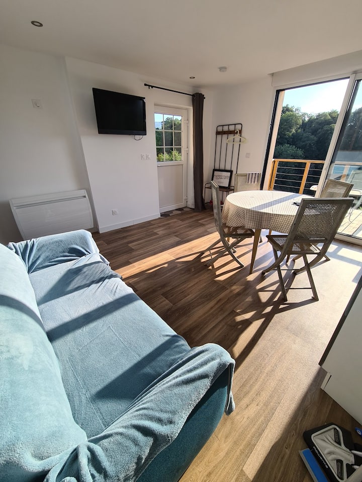 Appartement Indépendant Avec Terrasse - Saint-Brieuc