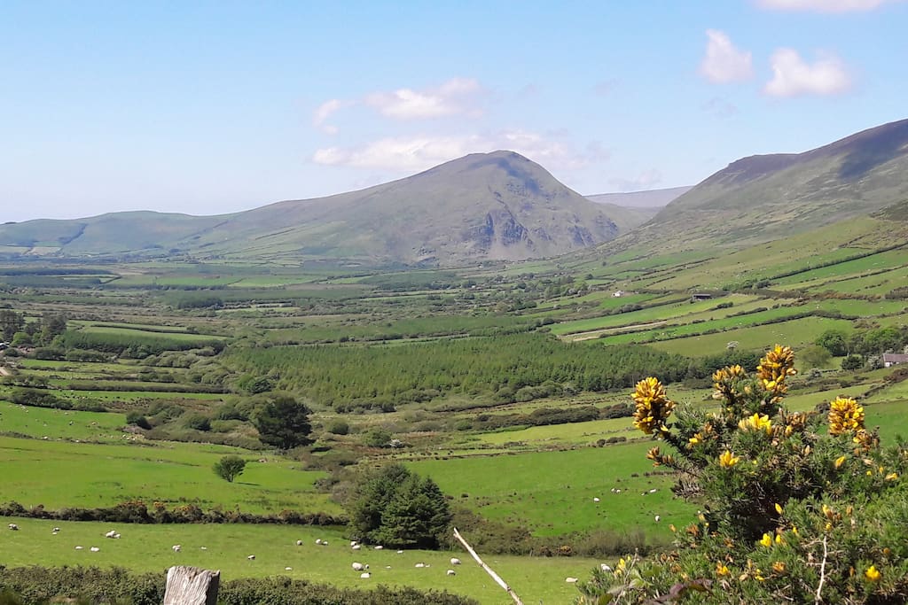 Our valley