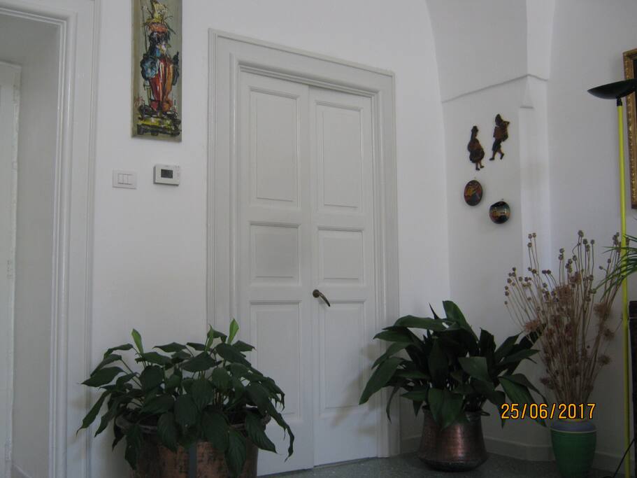 angolo con piante