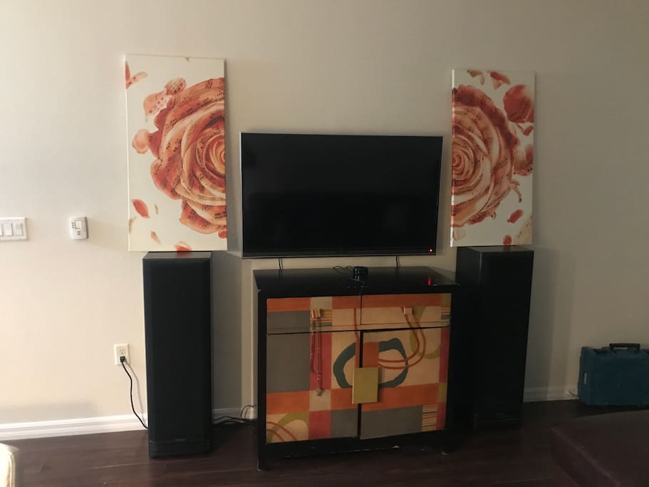 Television/Stereo system/cable TV