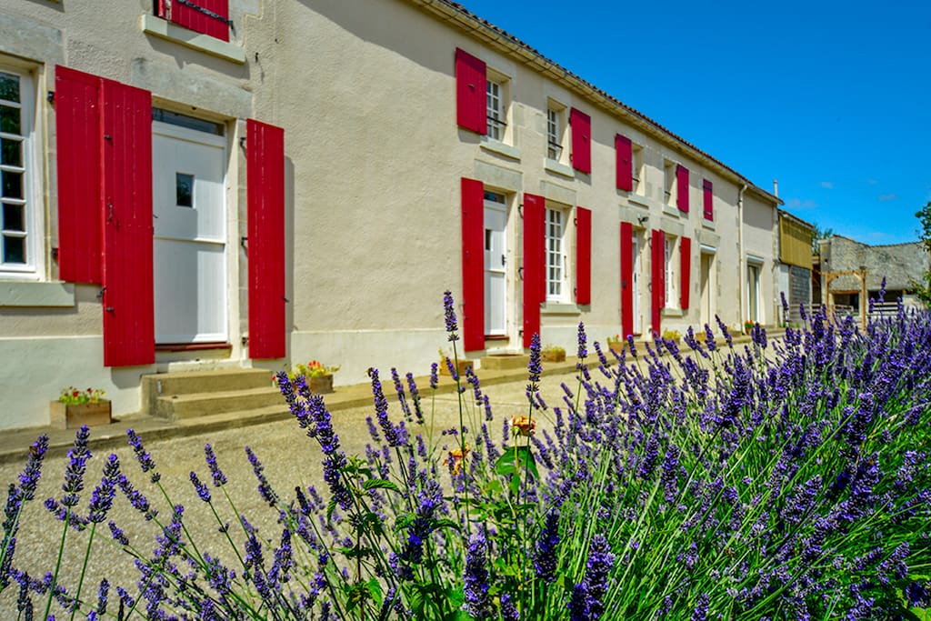 Beautiful property with lovely lavenders.