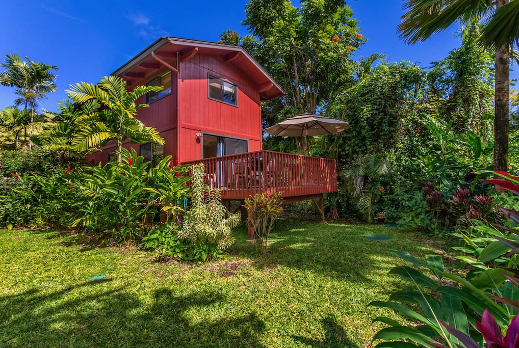 Back of house with lanai and lush backyard.