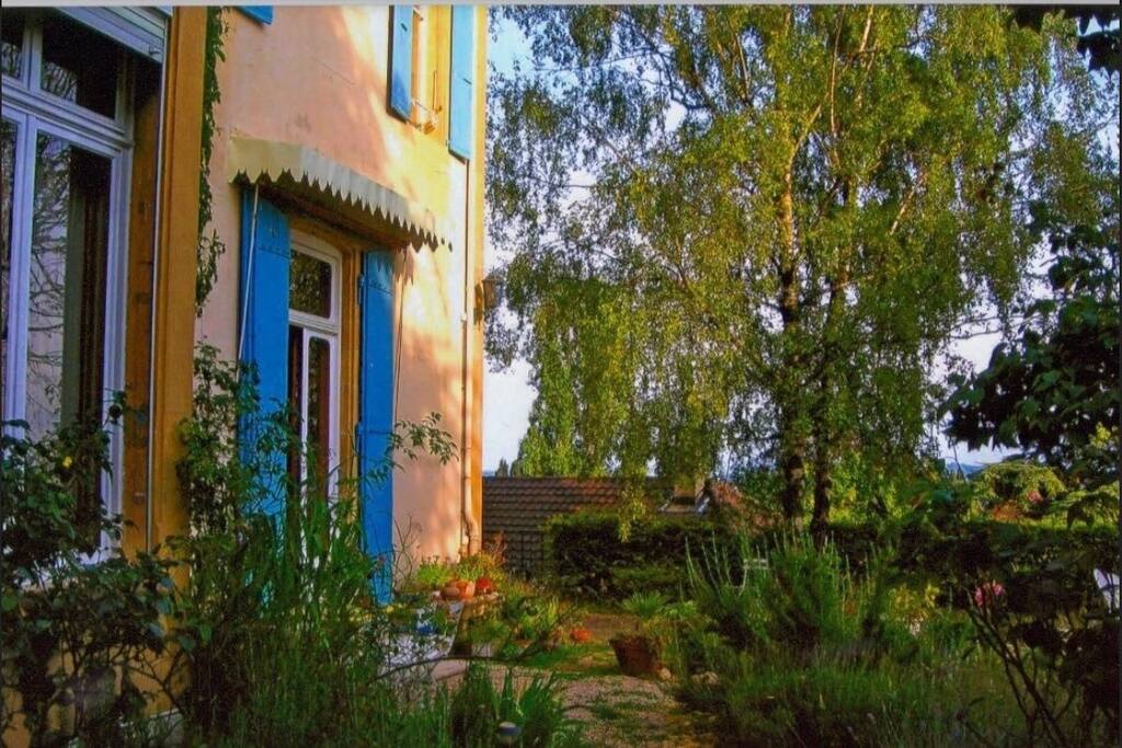 The Property