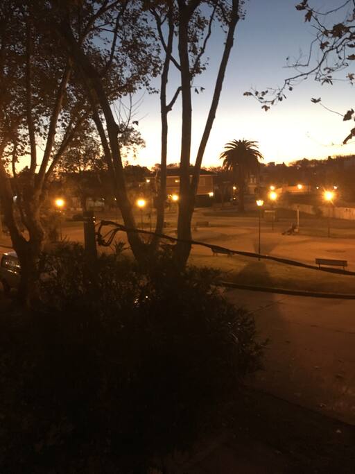 View From the Balcony