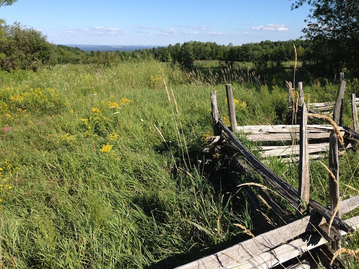 10 Best Airbnb Vacation Rentals In Creemore, Canada Updated 2024