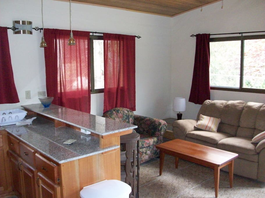 Kitchen/Living Room-Apartment 4