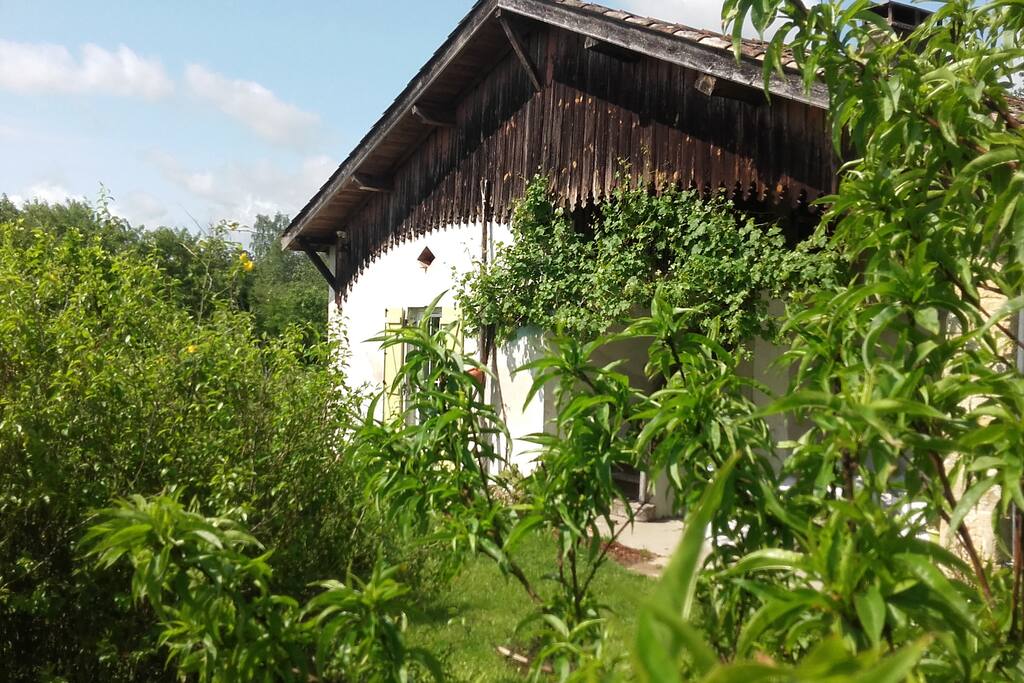 Bergerie Landaise du 16 e siècle. 240 m² habitable. Sans voisinage proche.Calme, paix et quiétude au programme.