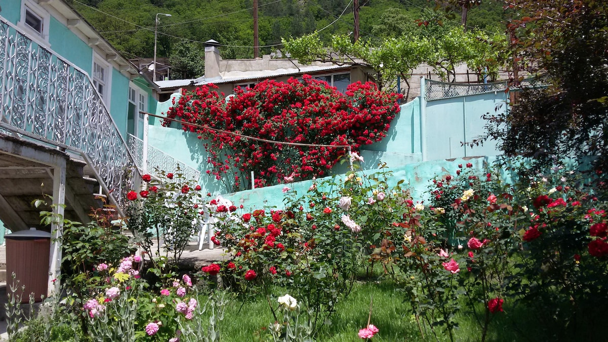 A vibrant garden is filled with blooming roses of various colors, surrounded by lush green grass. A wall covered with flowering vines adds to the setting, while a staircase leads to a light blue building in the background, enhancing the natural beauty of the scene.