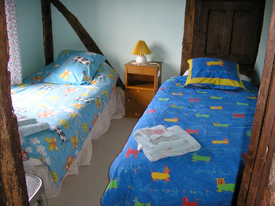 Blue twin room/bleu chambre 2 personnes