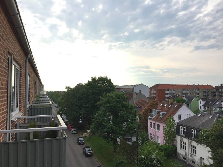 The view