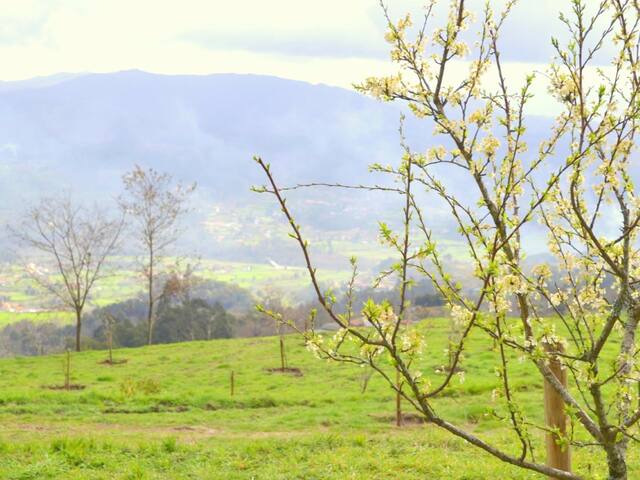 Casa rústica com vistas maravilhosas!