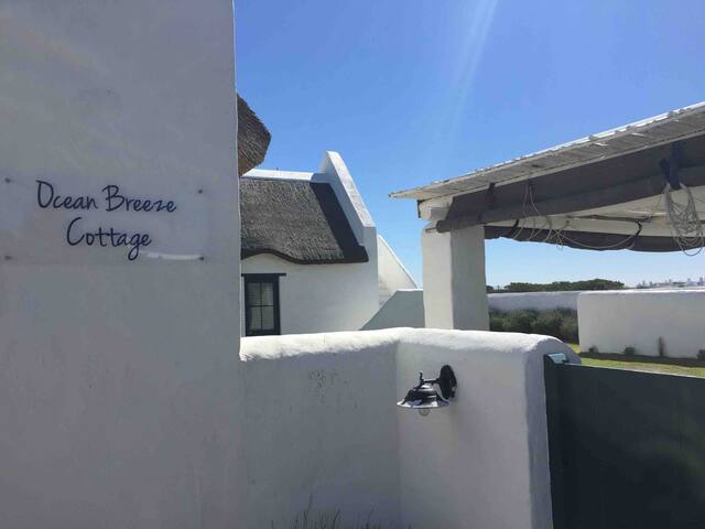 Ocean Breeze Cottage Struis Bay Houses For Rent In Struis Bay