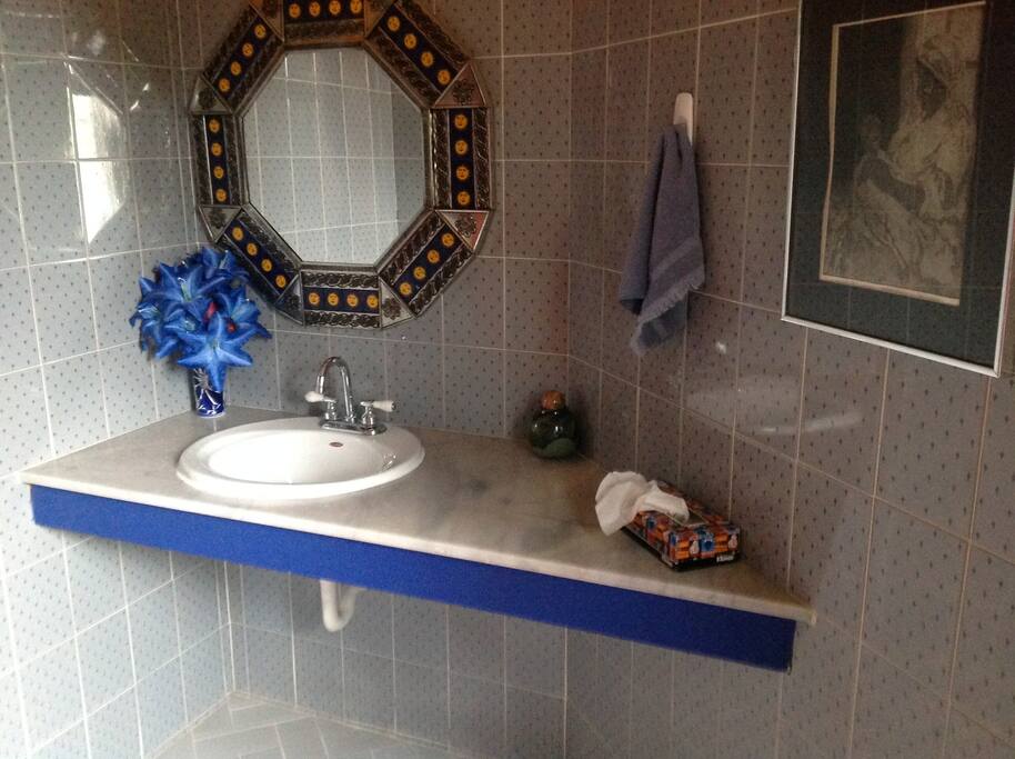 Downstairs Cloakroom