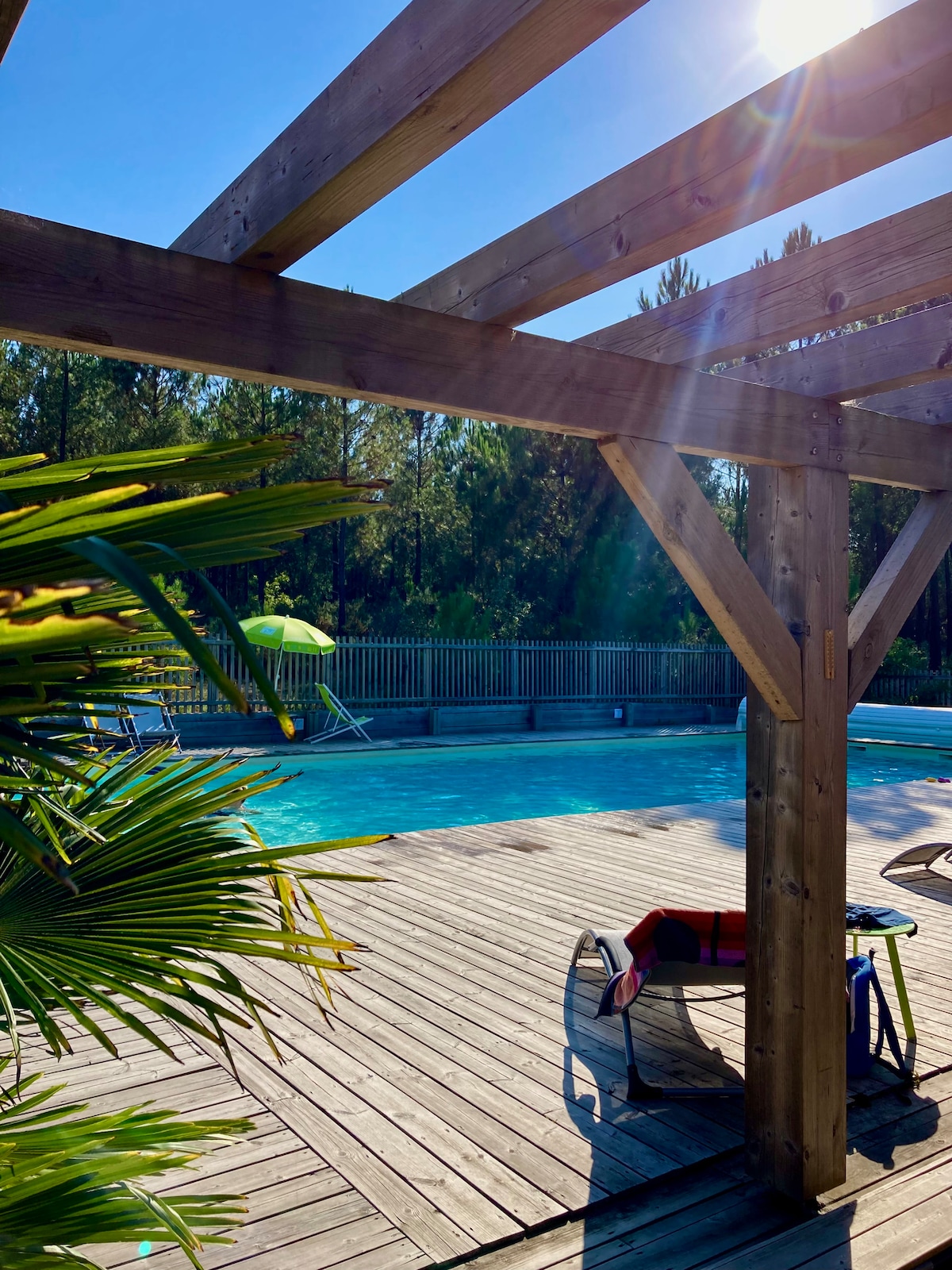 A sunlit pool area is framed by a wooden pergola, with a spacious wooden deck surrounding the water. Lush greenery is visible, and a poolside chair rests nearby, inviting relaxation. The calm pool reflects the clear blue sky, enhancing the serene atmosphere.
