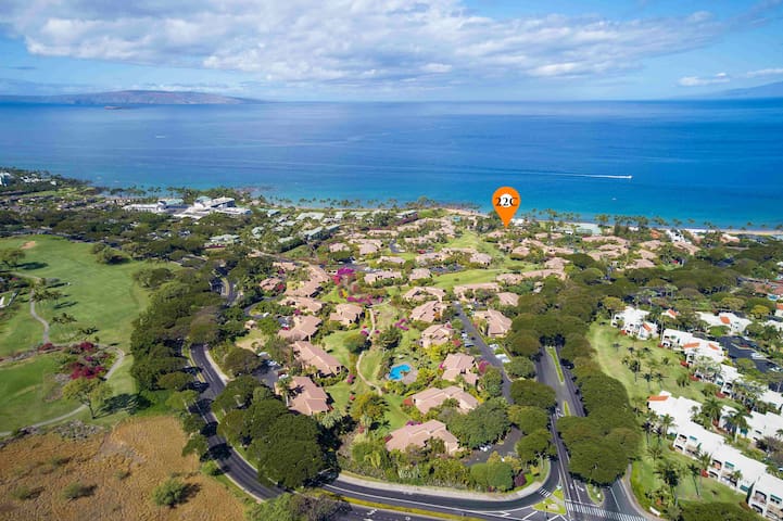 Ekahi 22C Toes in the Sand in Under 2 Minutes